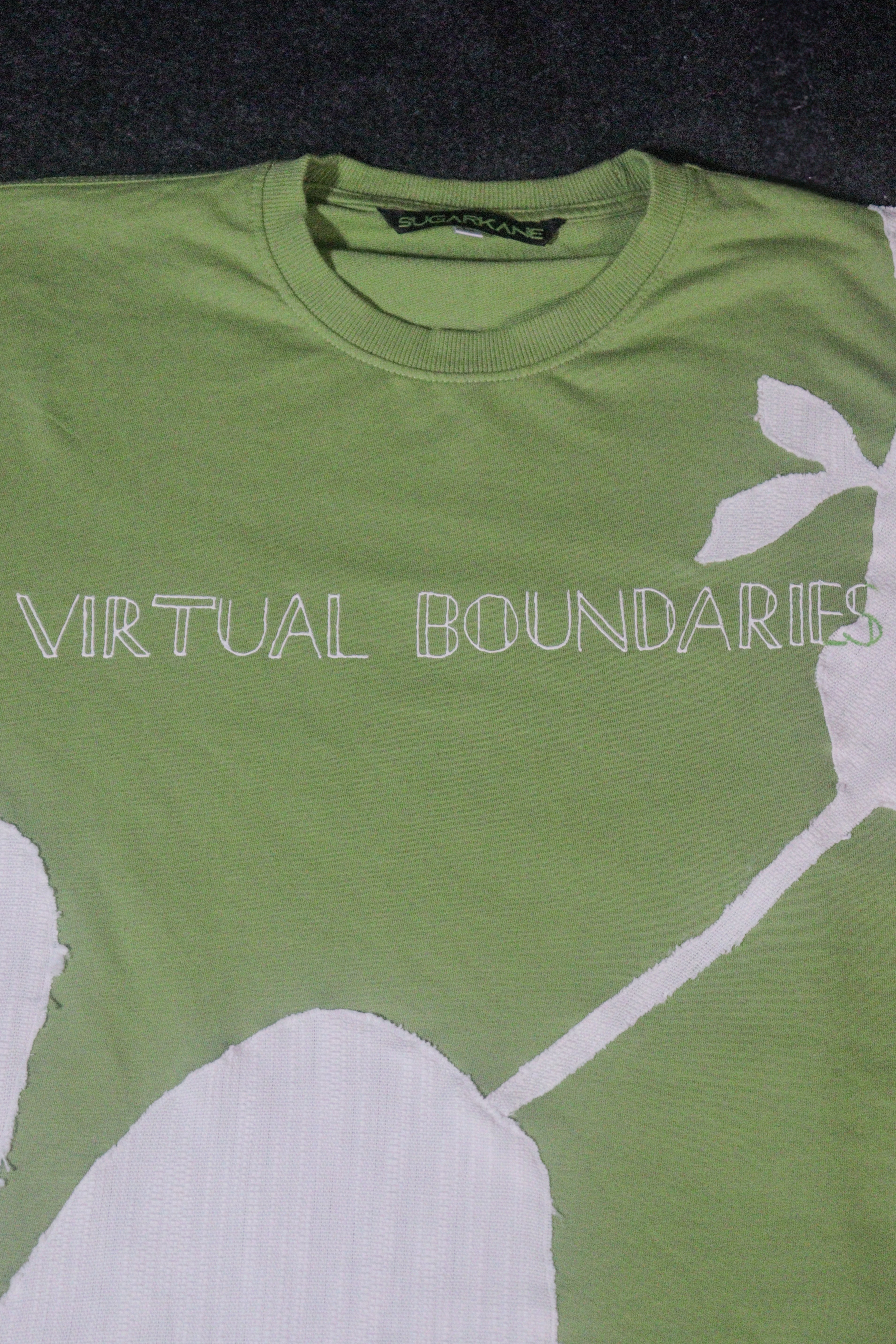 VIRTUAL BOUNDARIES